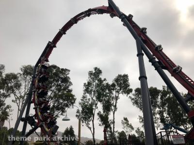 Harley Quinn Crazy Coaster