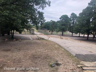 Safari Off Road Adventure