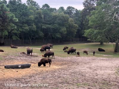 Six Flags Great Adventure