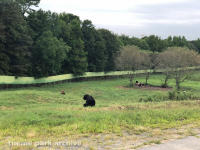 Six Flags Great Adventure