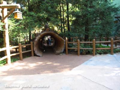 Redwood Creek Challenge Trail