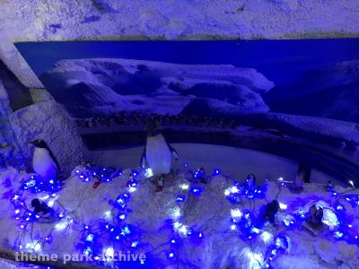 South Pole Adventure