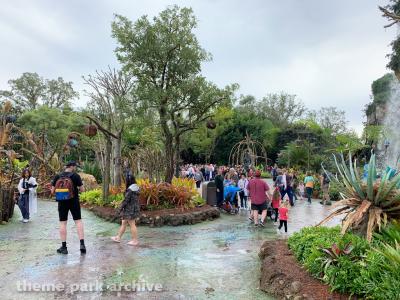 Disney's Animal Kingdom