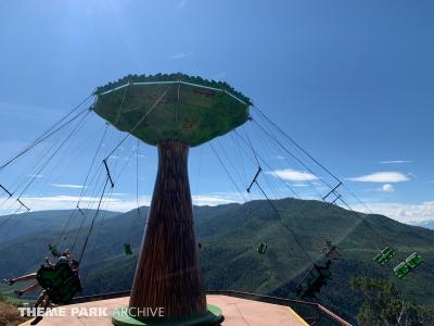 Glenwood Canyon Flyer