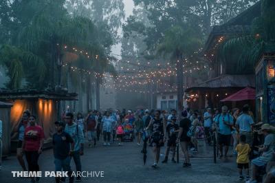 After Hours at Animal Kingdom