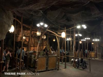 Disney's Animal Kingdom