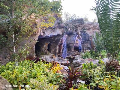 Rise of the Resistance