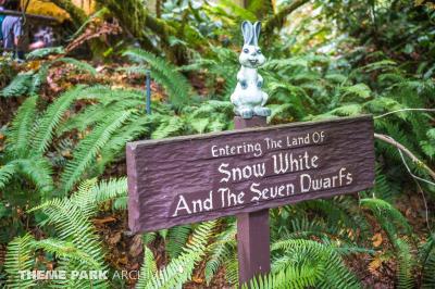 Enchanted Forest