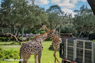 Disney's Animal Kingdom
