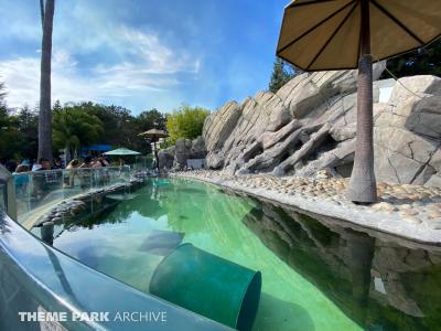 Six Flags Discovery Kingdom