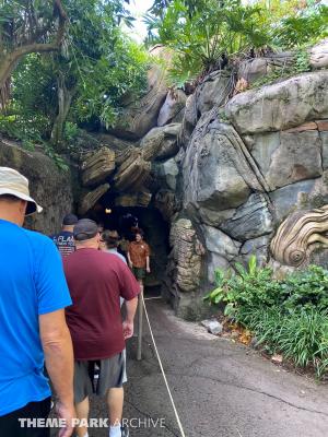 It's Tough to be a Bug