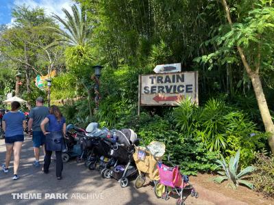 Disney's Animal Kingdom