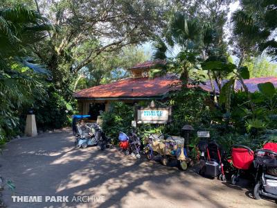 Disney's Animal Kingdom