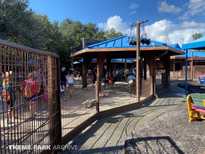 Rafiki's Planet Watch