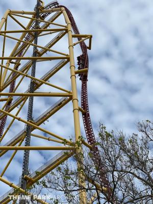 Top Thrill Dragster