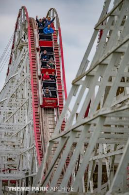 Stricker's Grove