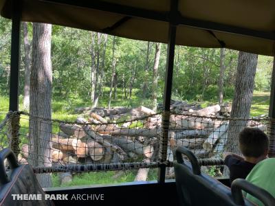 Off Road Safari Adventure