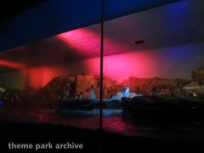 SeaWorld San Antonio