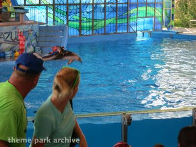 SeaWorld San Antonio