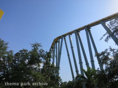 SeaWorld San Antonio