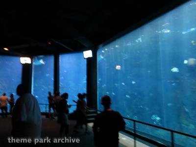 SeaWorld San Antonio