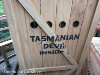 Six Flags Over Texas