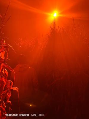 HalloWeekends