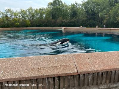 Marineland