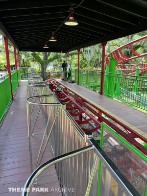 Ladybug Roler Coaster