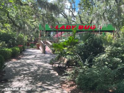 Ladybug Roler Coaster