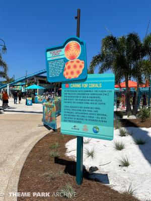 Pipeline: The Surf Coaster