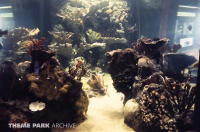 World of the Sea Aquarium