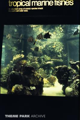 World of the Sea Aquarium
