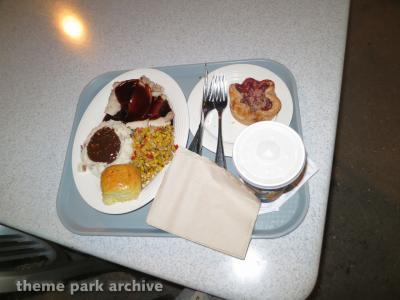 Disney California Adventure