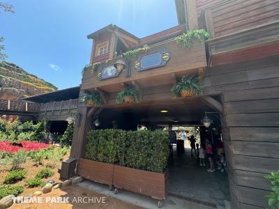 Tiana's Bayou Adventure