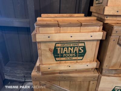 Tiana's Bayou Adventure