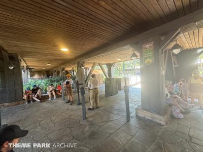 Tiana's Bayou Adventure