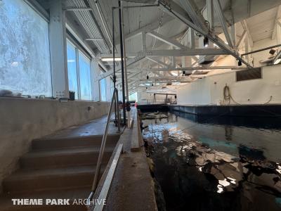 SeaWorld San Antonio