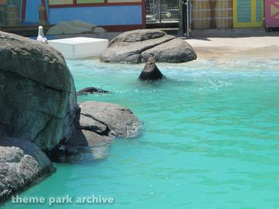 Six Flags Discovery Kingdom