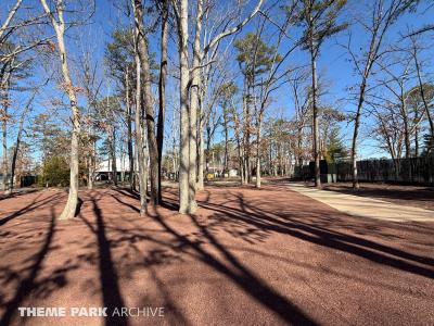 THE FLASH Vertical Velocity