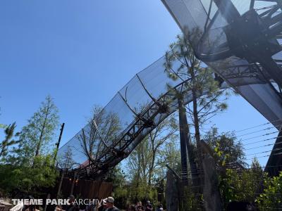 Curse of the Werewolf