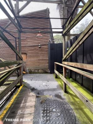 Medusa Steel Coaster