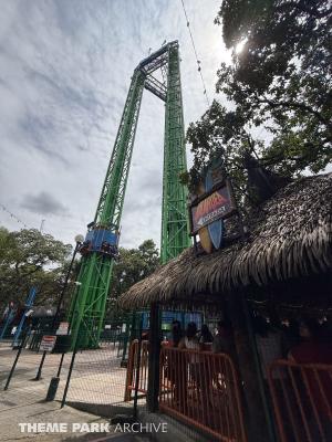 Triple Torre Kilauea